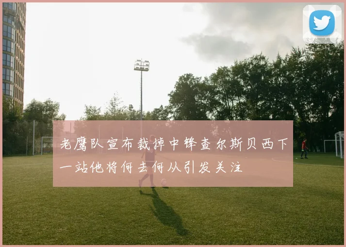 老鹰队宣布裁掉中锋查尔斯贝西下一站他将何去何从引发关注