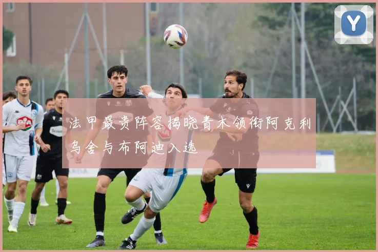 法甲最贵阵容揭晓青木领衔阿克利乌舍与布阿迪入选