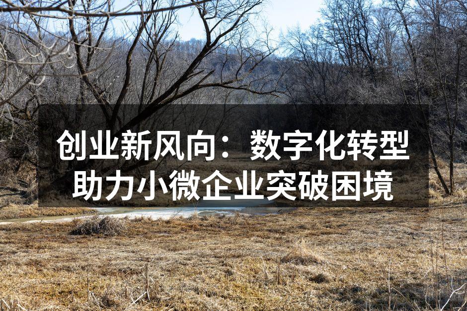 创业新风向：数字化转型助力小微企业突破困境