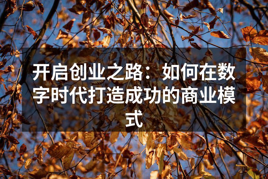 开启创业之路：如何在数字时代打造成功的商业模式